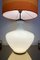 Vintage Belgium White Illuminated Glass Bulbous Lamp Base Table Lamp, 1970s 13