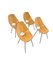 Medea Chairs by Vittorio Nobili for F.lli Tagliabue, 1950s, Set of 5 1