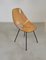 Medea Chairs by Vittorio Nobili for F.lli Tagliabue, 1950s, Set of 5 5