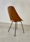 Medea Chairs by Vittorio Nobili for F.lli Tagliabue, 1950s, Set of 5, Image 3