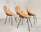 Medea Chairs by Vittorio Nobili for F.lli Tagliabue, 1950s, Set of 5 2