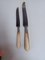Cuchillos con mango de cuerno y hoja de acero, década de 1800. Juego de 24, Imagen 5