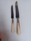 Horn Handle Knives with Steel Blade, 1800s, Set of 24, Image 5