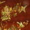 Tavolino da caffè cineserie dipinto e laccato, anni '70, Immagine 5