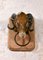 Antique French Rams Head from Butchers Shop, 19th Century, Image 1