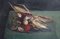 Piero Bertacco, Natura morta, anni '50, Olio su tela, con cornice, Immagine 1
