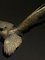Metallskulpturen mit mythologischen Vögeln, Frankreich, Ende 19. Jh., 2er Set 8