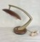 Boomerang 64 Phase Lampe in Braun & Beige von Fase, 1960er 11