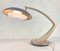 Boomerang 64 Phase Lampe in Braun & Beige von Fase, 1960er 5