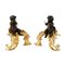 Louis XV Style Firewood Cabinets in Gilded and Patinated Bronze, Set of 2 3