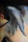 F. Mazzola alias Parmigianino, Amor tallado arco, óleo sobre lienzo, Imagen 8
