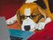 Ernest Carneado Ferreri, Beagle con gafas, 2000s, Acrylic Painting, Image 1