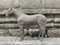 Mid-Century Horse Sculpture, 1950s 13