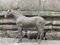 Mid-Century Horse Sculpture, 1950s 1