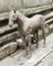 Mid-Century Horse Sculpture, 1950s, Image 21