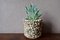 Vintage Concrete Flower Pot 2