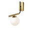 Brass Globe Wall Lamp by Dooq 2