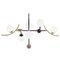 Blossom Helio Suspension Lamp by Dooq 1