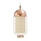 Brass Magnolia II Suspension Lamp with Brass Ring by Dooq 6