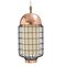 Copper Ivory Magnolia Ii Suspension Lamp with Copper Ring by Dooq 3