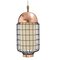 Copper Ivory Magnolia Ii Suspension Lamp with Copper Ring by Dooq, Image 3