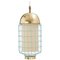 Brass Jade Magnolia II Suspension Lamp with Brass Ring by Dooq 1