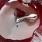 No. 1 NRed Murano Glass Bowl Shells Ashtray attributed to Venini, Italy, 1970s, Image 10