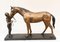 French Bronze Jockey and Horse Statue 6