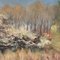 Tony Reniers, Landscape, 1990s, Oil on Panel 5