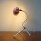 French Cocotte Table Lamp, 1950s 6