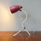French Cocotte Table Lamp, 1950s 3