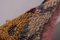 Vintage Soft Wool Pile Checkered Tulu Rug, Image 9