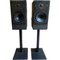 Ditton SL6 Speakers by Celestion, Set of 2 1