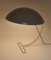 Lampe de Bureau NB100 par Louis Kalff pour Philips 5