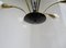 Floral Ceiling Lamp with Acrylic Glass Flowers, 1950s 15