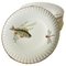 Porcelain Fish Plates from Limoges, France, 1960s, Set of 10 1