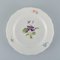 Antique Hand-Painted Dinner Plates with Polychrome Flowers from Meissen, Set of 10 3