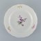 Antique Hand-Painted Dinner Plates with Polychrome Flowers from Meissen, Set of 10 6