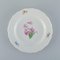 Antique Hand-Painted Dinner Plates with Polychrome Flowers from Meissen, Set of 10 2