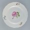 Antique Hand-Painted Dinner Plates with Polychrome Flowers from Meissen, Set of 10 5