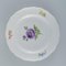 Assiettes Plates Antiques Peintes à la Main avec Fleurs Polychromes de Meissen, Set de 10 4