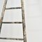 Large Antique French Fruit Picking Ladder -F, 1950s 3