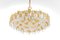 Large Gilt Brass and Crystal Glass Chandelier attributed to Palwa Germany, 1960s 4