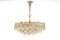 Large Gilt Brass and Crystal Glass Chandelier attributed to Palwa Germany, 1960s, Image 3