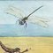 Vintage Mural Blue Dragonfly Poster by Jung Koch Quentell, 1970s 3