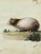 Leopold Billek, Guinea Pig (Meerschweinchen), 1820, Original Gouache Painting 1