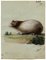 Leopold Billek, Porcellino d'India (Meerschweinchen), 1820, Pittura a guazzo originale, Immagine 3