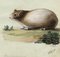 Leopold Billek, Guinea Pig (Meerschweinchen), 1820, Original Gouache Painting, Image 2