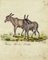 Leopold Billek, A Small Kind of Donkey, 1820, Original Gouache Painting 1