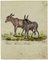Leopold Billek, A Small Kind of Donkey, 1820, Original Gouache Painting 3